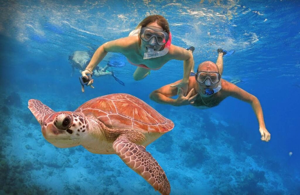 Šnorchlování výlet na pláži Abu Dabbab Marsa Alam
