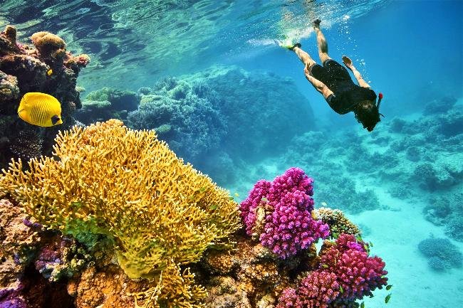 Mořskie výlety Marsa Alam Potápění Šnorchlování Výlet Marsa Mubarak dům delfínů sataya ostrov Hamata samadai exkurzy Marsa alam Co dělat v Marsa Alam?
