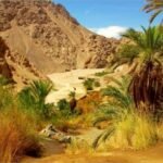 výlet do Wadi El Gemal
