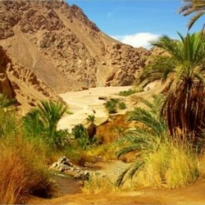 výlet do Wadi El Gemal