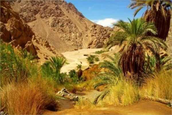 výlet do Wadi El Gemal